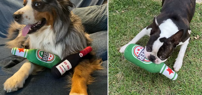 Dog Beer Bottle