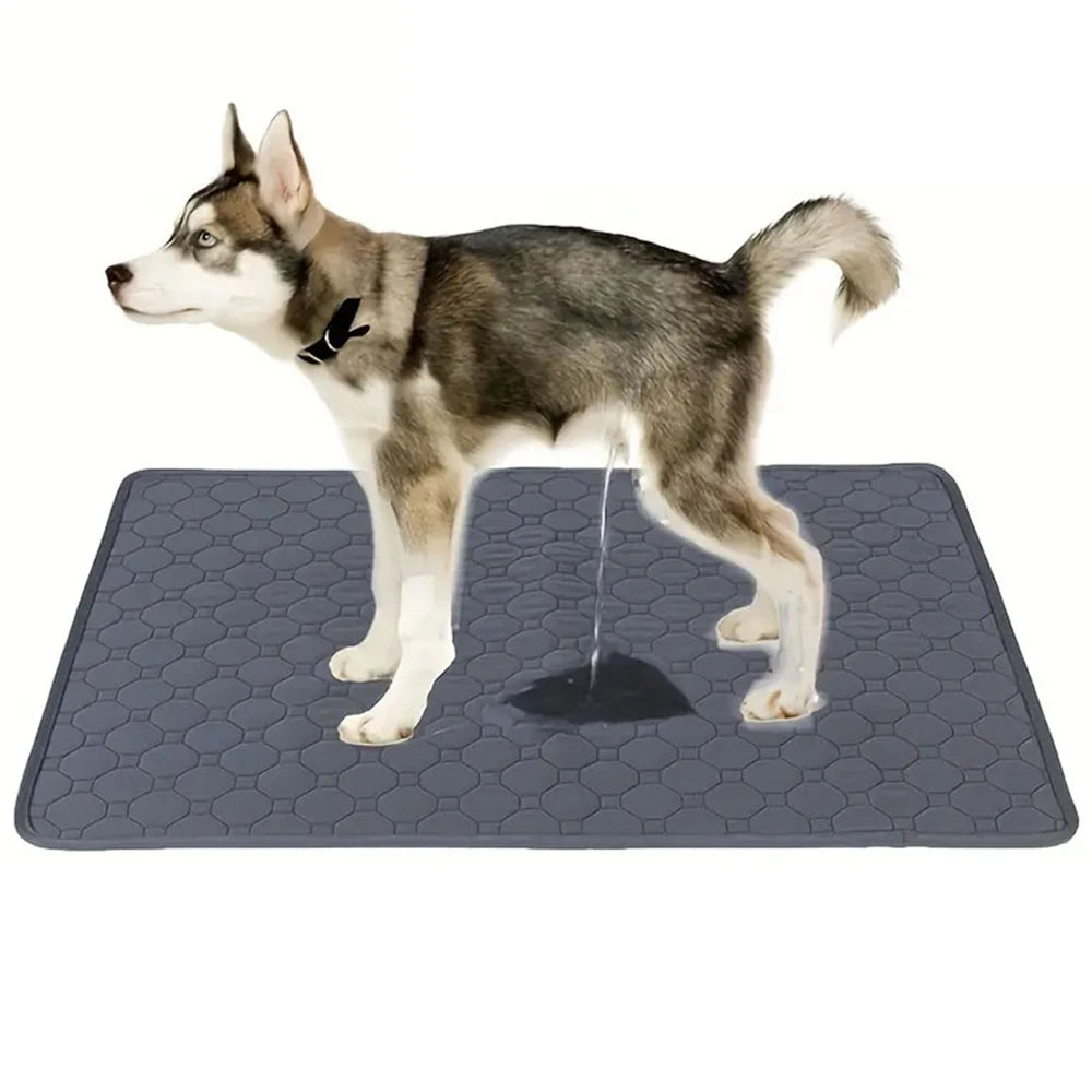 Reusable Dog Pee Pad