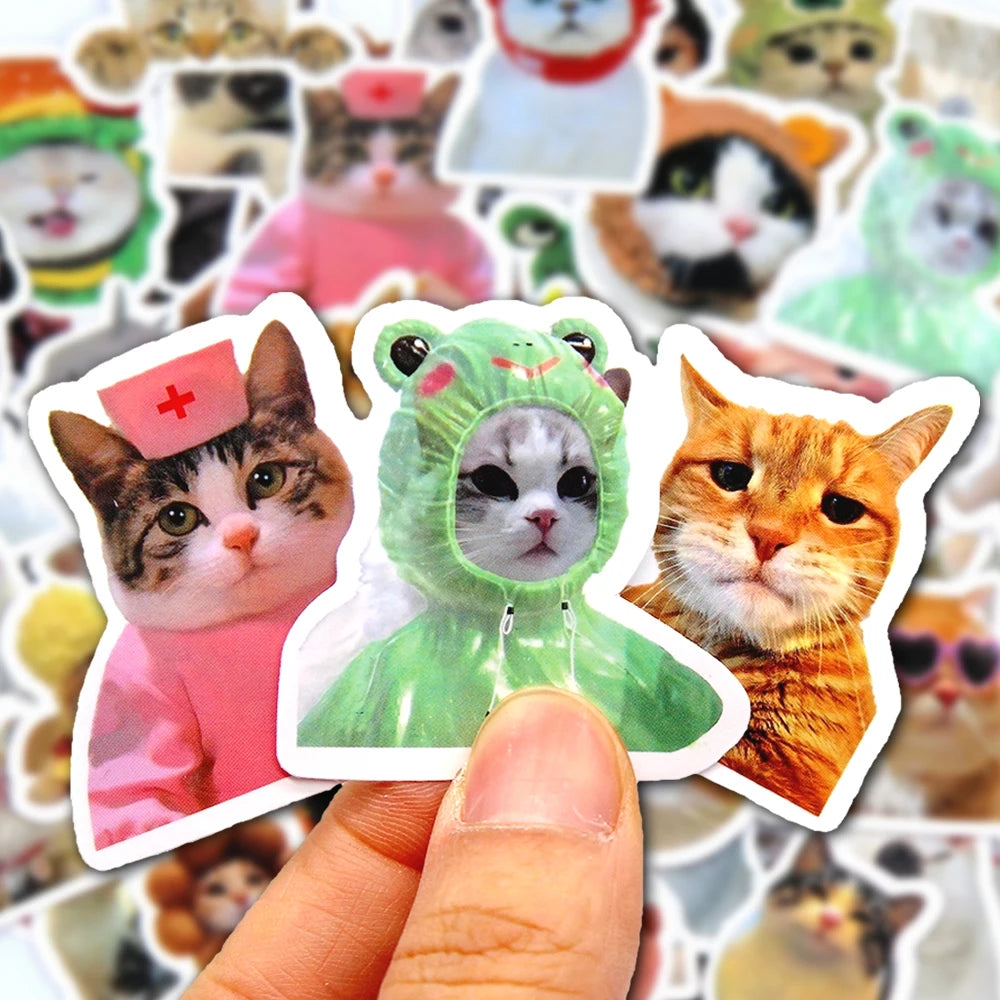 Funny Cat Stickers