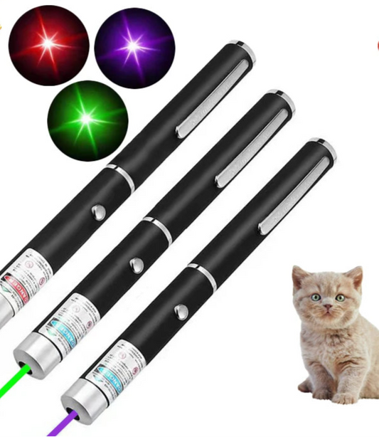 2-in-1 Mini Laser Pointer