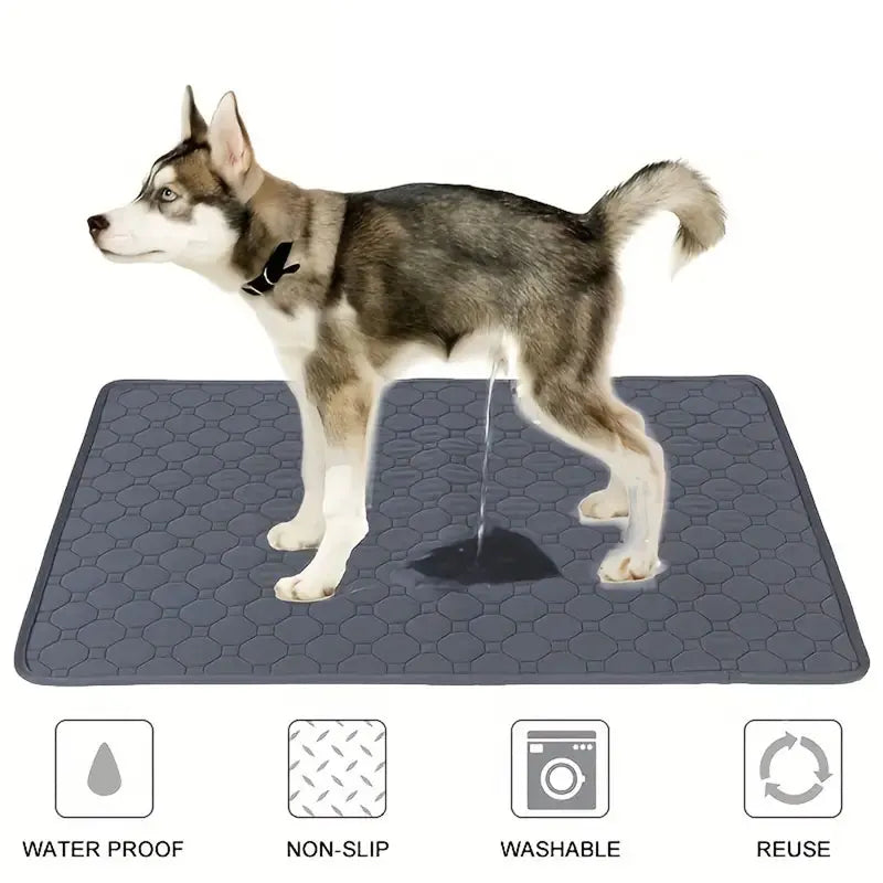 Reusable Dog Pee Pad