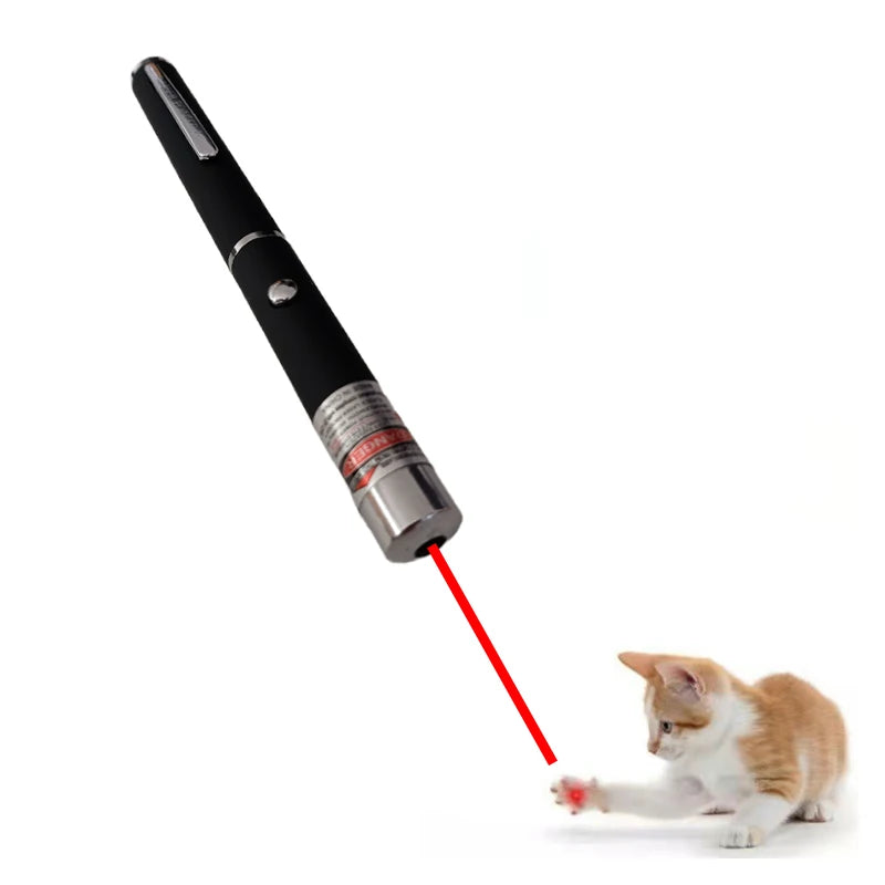 2-in-1 Mini Laser Pointer