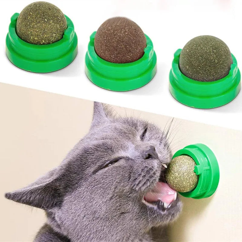 Catnip Plush Chew Toy