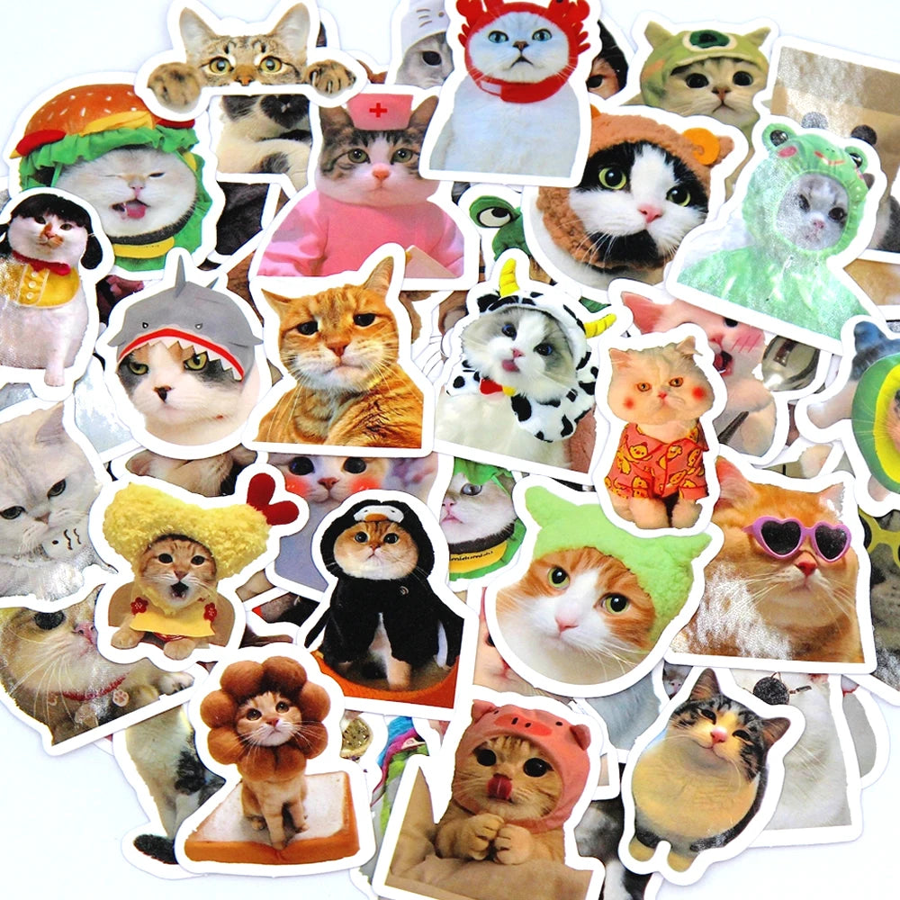 Funny Cat Stickers