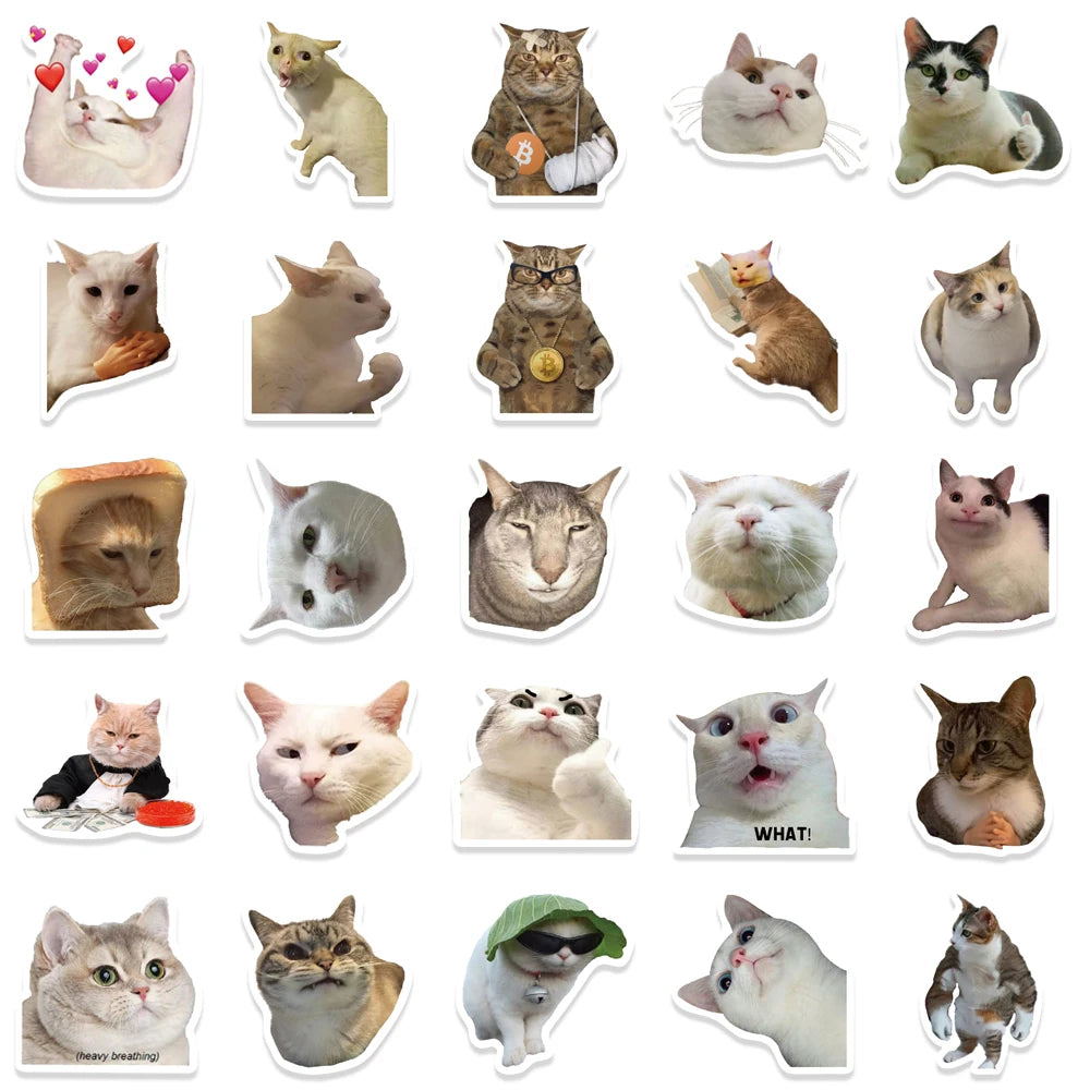 50pcs Cat Stickers