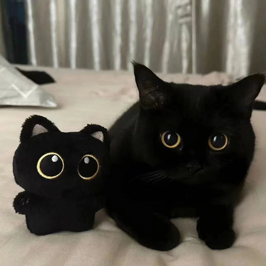 Plushy Black Cat Keychain