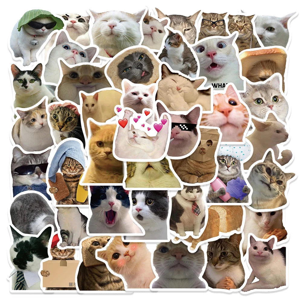 50pcs Cat Stickers