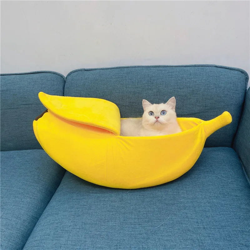 Banana-Shaped Bed